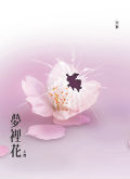 夢裡花-上部